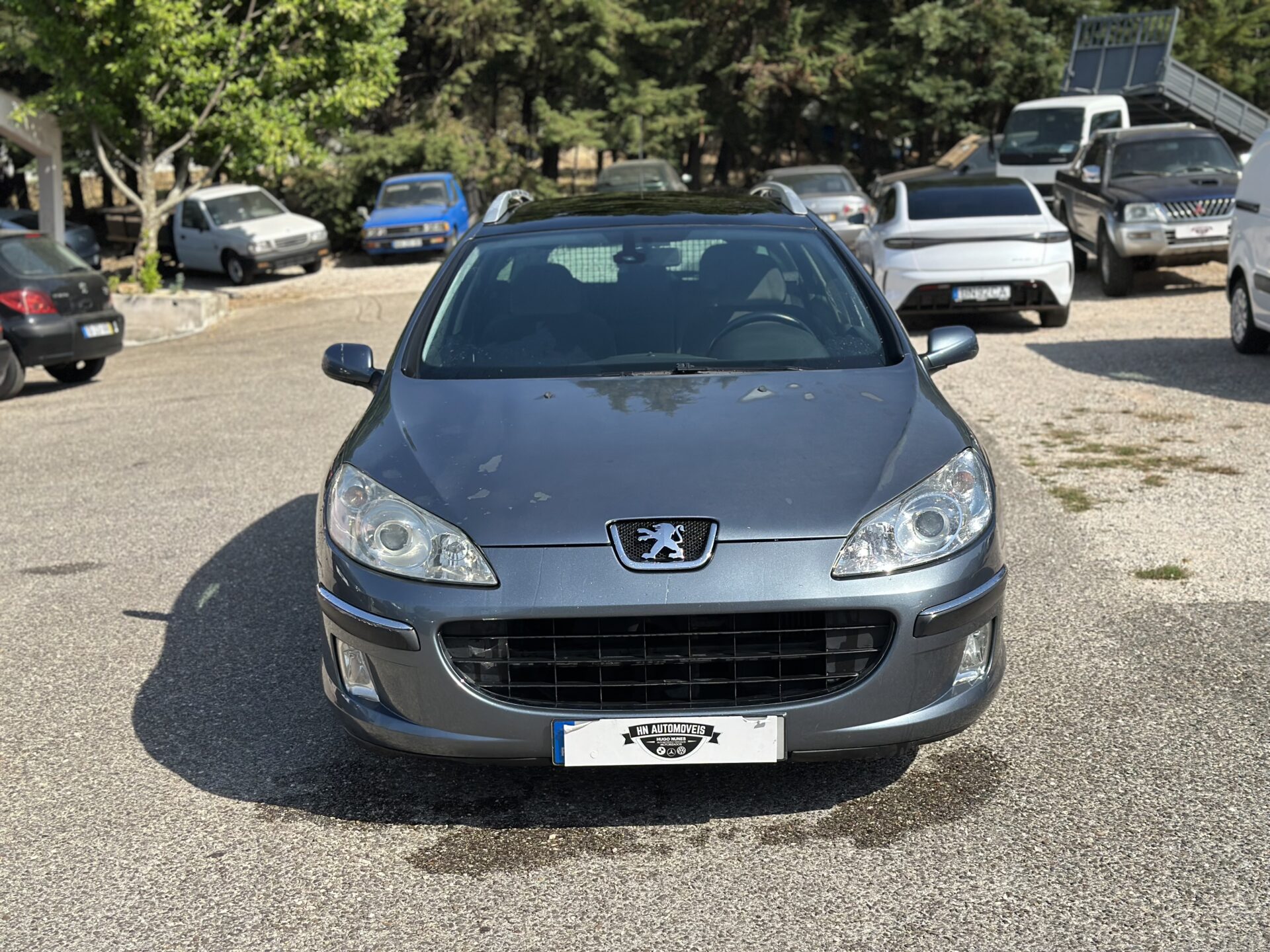 
								Peugeot 407 sw total									