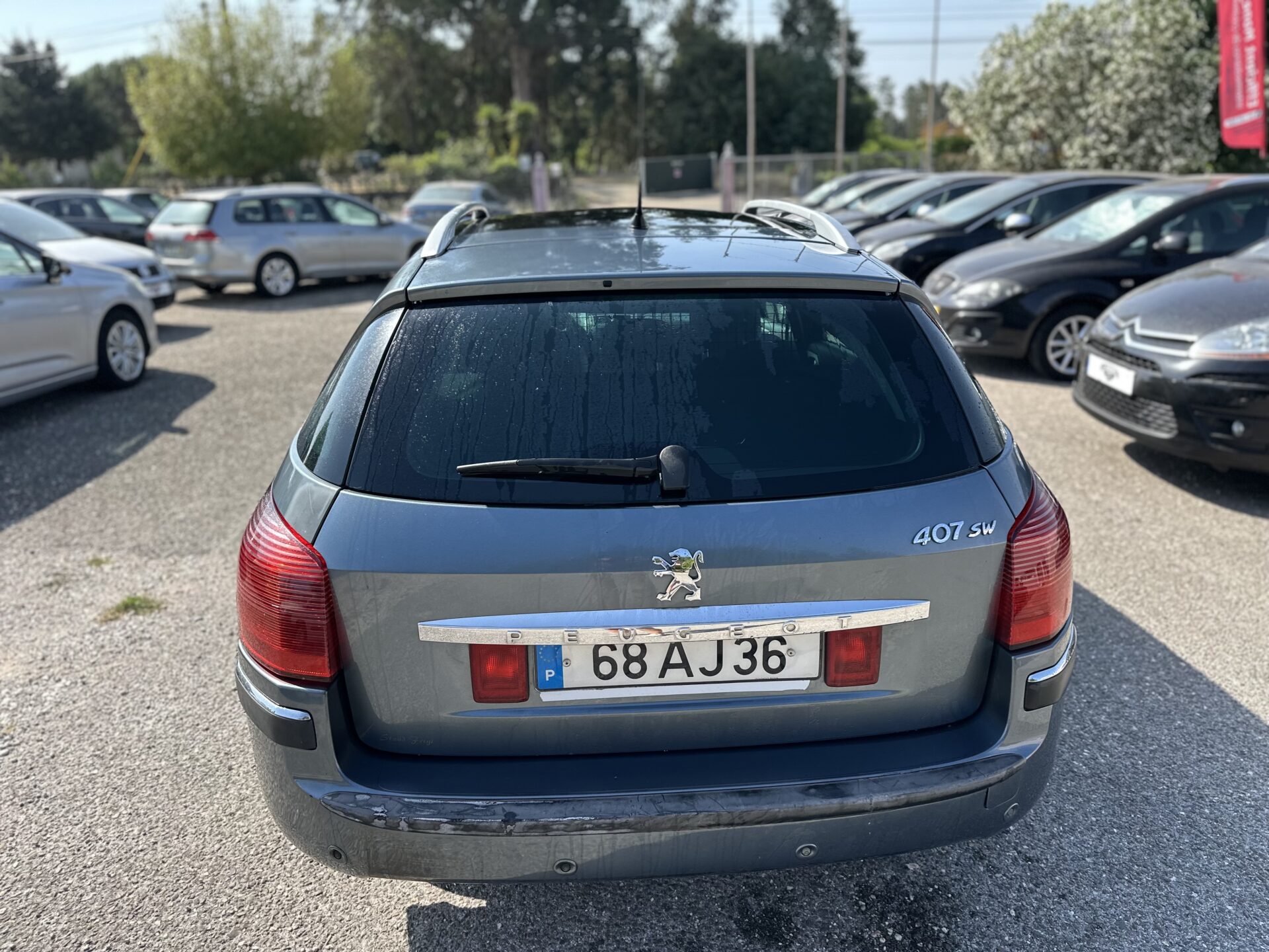 
								Peugeot 407 sw total									