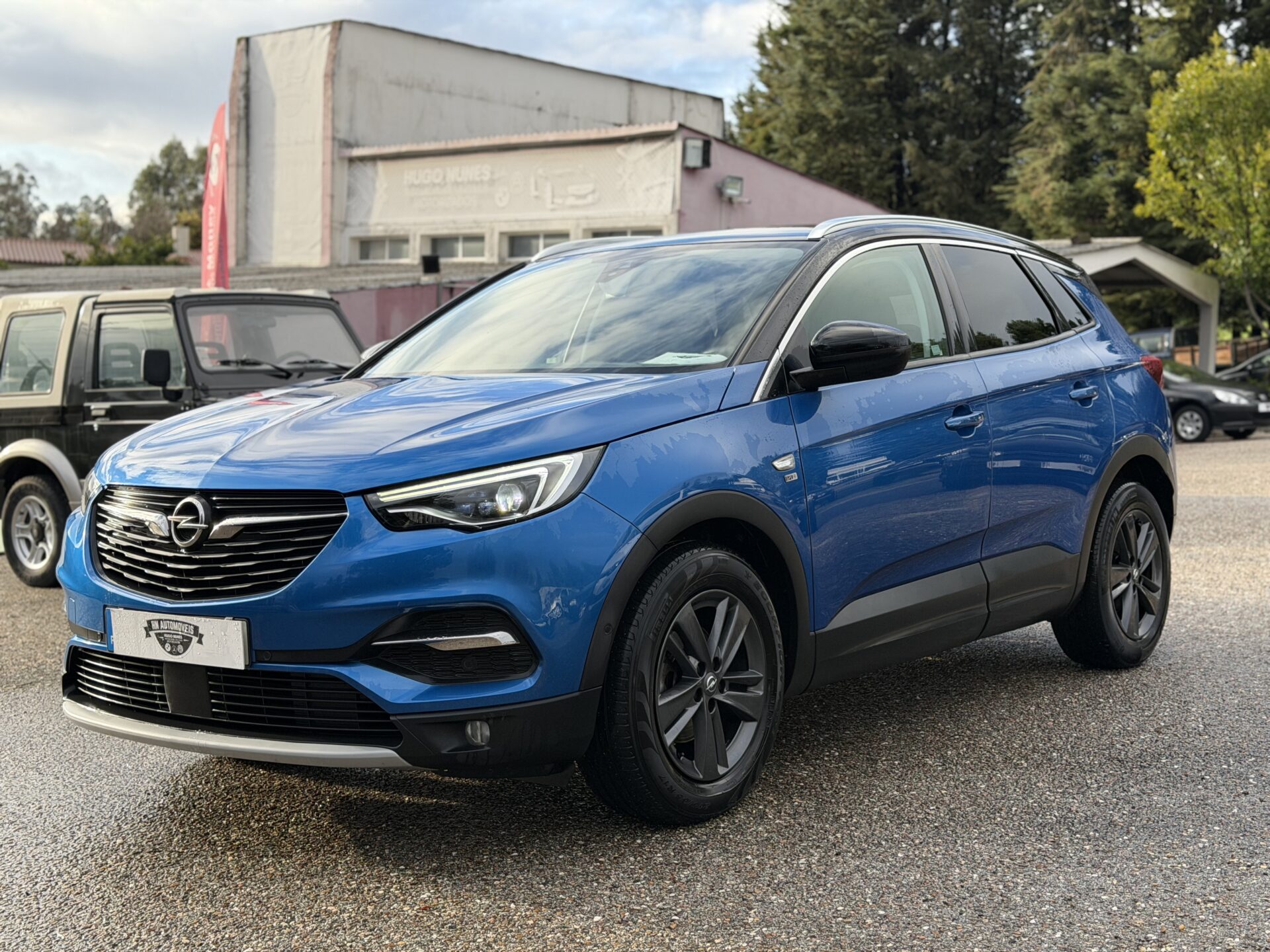 
								Opel Grandland X total									