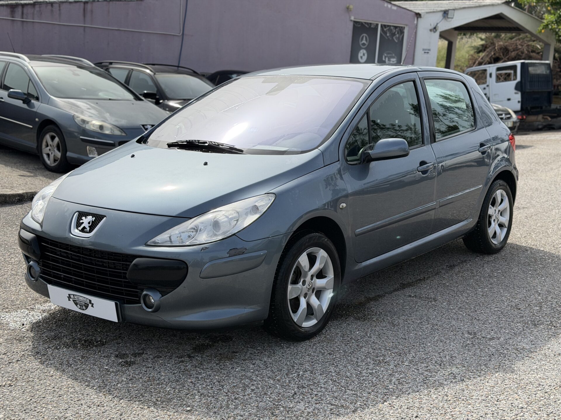 
								Peugeot 307 total									